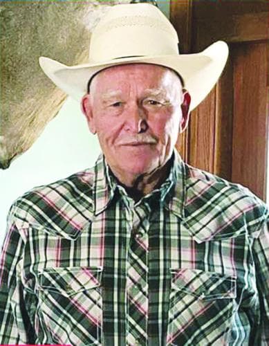 Stone County Presiding Commissioner Steps Down; Replacement Process Underway